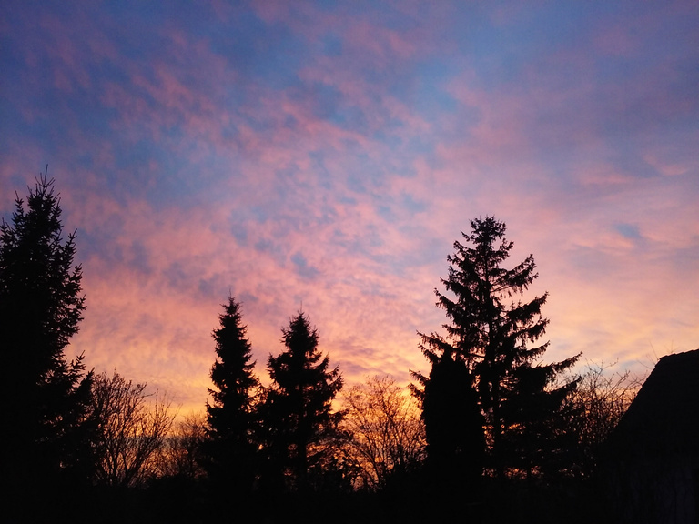 Colorful Silhouette Treeline Sunset